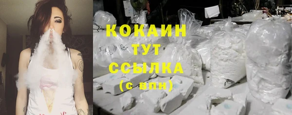 гидропоника Бородино