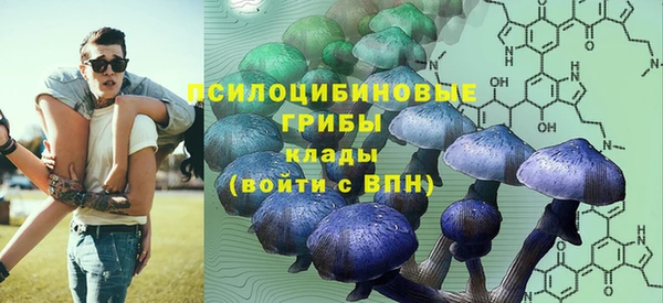 гидропоника Бородино