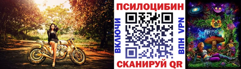 Галлюциногенные грибы Psilocybine cubensis  где продают   Нестеров 