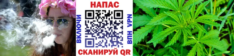 Бошки марихуана THC 21% Нестеров